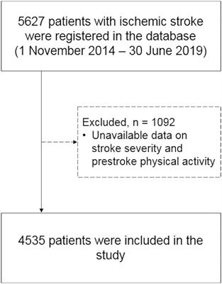 Pre-stroke Physical Inactivity and Stroke Severity in Male and Female Patients